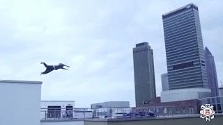 Watch TOP 20 MOST EPIC PARKOUR JUMP Video