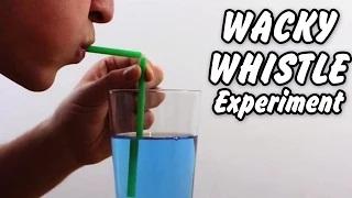 Watch Science Experiments That You Can Do At Home | Wacky Whistle Amazing Science Experiment Video