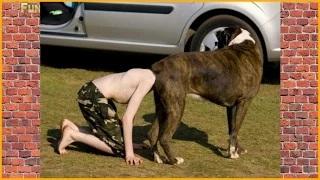 Watch Funny Videos: Best Vines Ever ( Try Not to Laugh ) Video