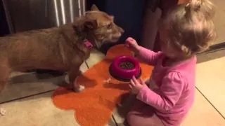 Watch Cute Dog Fed by Adorable Baby Video