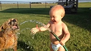 Watch Dogs and Babies Playing with Hoses Compilation Video