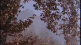 Watch Rat Basant aayi Ban Upavan || Jhanak Jhanak Payal Baje(1955) || {Old Is Gold} Video