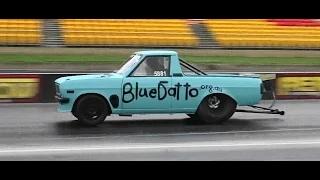 Watch BLUE DATTO FOUNDATION TURNER ADAMS MOTORSPORT DATSUN UTE 7.90 @ 168 MPH SUPERNATS Video