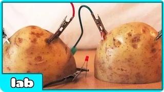 Watch Cool Science Experiment - Potato Battery Video