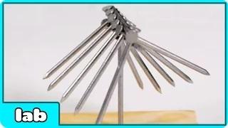 Watch Balancing Nails Science Experiment Video