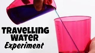 Watch Amazing Science Experiments That You Can Do At Home - Travelling Water Video