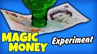 Watch Magic Money - Amazing Science Experiments That You Can Do At Home Cool Science Experiments Video