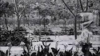 Watch Mere Dil Mein Hai Ek Baat - Post Box 999(1958) - Lata Mangeshkar, Manna Dey - {Old Is Gold} Video