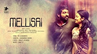 Watch Vellai Kanavu | Tamil Song with Lyrics | Mellisai | Vijay Sethupathi | Gayathrie | Sam.C.S | Ranjit Jeyakodi Video