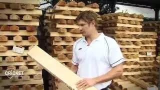Watch Shane Watson on how a bat is built Video