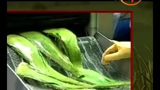 Watch Top 6 Herbs & Face Pack For Natural Beauty - Aapka Beauty Parlour - Dr. Nitin Agarwal Video