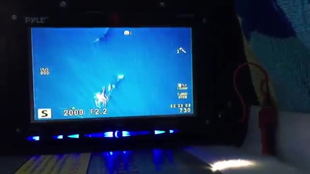 Watch Drone Aids in Tracking Puget Sound Orcas Video