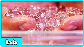 Watch Amazing Science Tricks For Halloween | Science Experiment Video