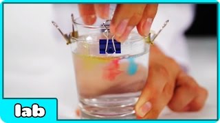 Watch Time Twist Science Experiment Video