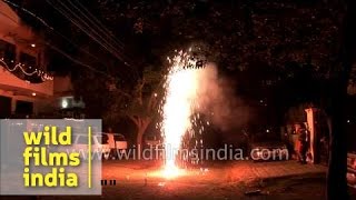 Watch Children burn Fire Crackers on the eve of Diwali - Delhi (Happy Diwali) Video