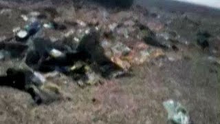 Watch Immediate aftermath of Russian plane crash Video