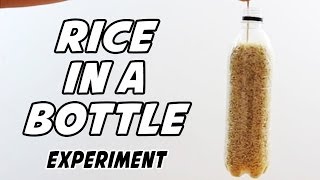 Watch Floating Rice Bottle || How to Float Rice in a Bottle Science Experiment !! Video