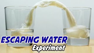 Watch Science Experiment: Escaping Water Experiment Video
