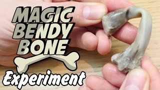 Watch Magic Bendy Bone - Bend a Chicken Bone Science Experiment !! Video