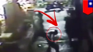 Watch Violent drunk beats stranger's family dog to death for barking at him - TomoNews Video
