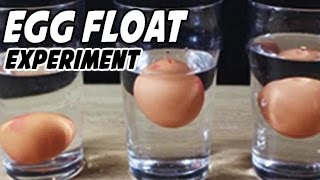 Watch Egg Floating in Amazing Saltwater Experiment Video