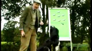 Watch Funny Banned Commercial Swearing Farmer Televesion Advert Video