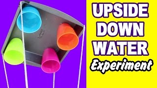 Watch DIY Easy Science Experiment | Amazing Science Experiments Video