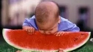 Watch Funniest Baby Videos | 20 Min Laughing videos, Cute Babies Video
