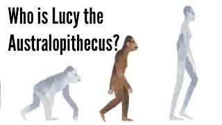 Watch Who is Lucy the Australopithecus? Video