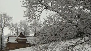 Watch Snow And Cold Grips Southern Poland Video