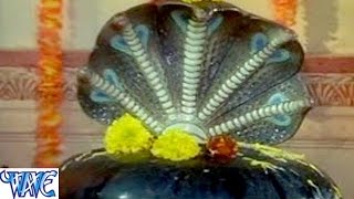 Watch Dam Dam Damaru Bajawelan Jogiya || Ye Yadav Ji || Mai Nagin Tu Nagina || Bhojpuri Bhakti Songs Video