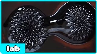Watch Amazing Metal Liquid That Will Freak You - Science Experiment Video
