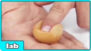 Watch Folding Egg Science Experiment Video