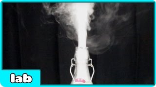 Watch Genie In A Bottle Science Experiment Video