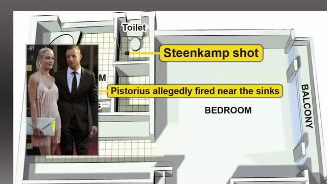 Watch Appeals Court Convicts Oscar Pistorius of Murder Video