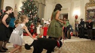 Watch THE OBAMA Dogs Steal the Holiday Spotlight! Video