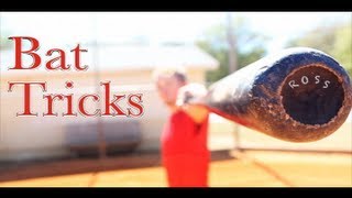 Watch Awesome Bat Tricks || Amazing Video Video