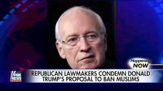 Watch Republican lawmakers condemn Trump's proposal to ban Muslims Video