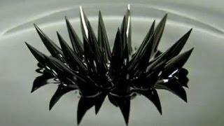 Watch Magical Science Experiments Compilation Video