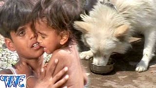 Watch Dudh Roti Khaye Kukura Babuaa - Sugi - Master Sami - Bhojpuri Sad Songs 2015 New Video