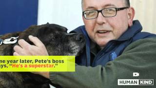 Watch Happy ending to story of homeless man and his dog Video