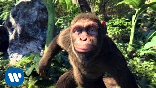 Watch Coldplay - Adventure Of A Lifetime (Official video) Video