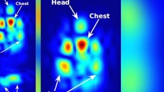 Watch Researchers Use WiFi To See Through Walls Video
