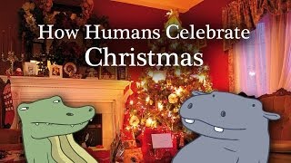 Watch How Humans Celebrate Christmas - Hippo & Croc Video