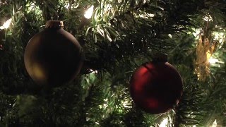Watch History of the Christmas Tree Video