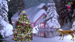Watch Christmas is being celebrated with gaiety and fervour Video