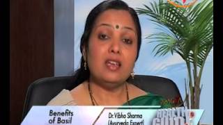 Watch Basil (Tulsi) Health Benefits - Did You Know That Basil Leaves Fight Cancer - Dr. Vibha Sharma Video