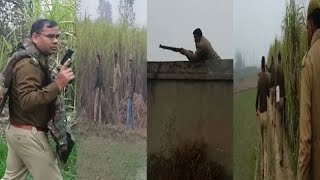 Watch On Cam: Gun battle between robbers and police in GhaziabadÃ¢â‚¬â„¢s Modinagar Video
