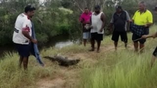 Watch Raw: Crocodile Attacks Woman Near Creek Bank Video
