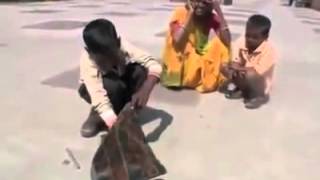 Watch Amazing Magic trick by POOR INDIAN BOY || Tourists Shooting the Video (MUST WATCH) Video